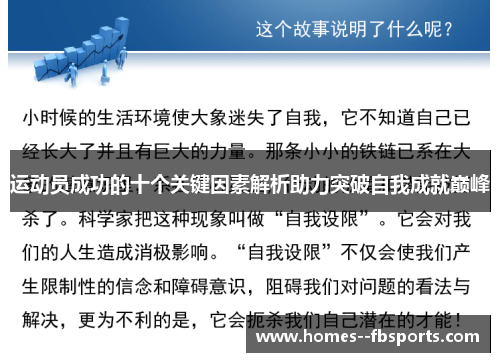 运动员成功的十个关键因素解析助力突破自我成就巅峰